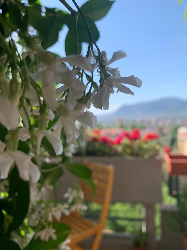 Bed And Breakfast San Valentino Terni Esterno foto